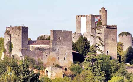 Château de Roquetaillade - les deux châteaux forts -  chateauvieux  et chateauneuf
