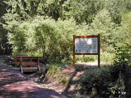 Arboretum de Saint-Avold
