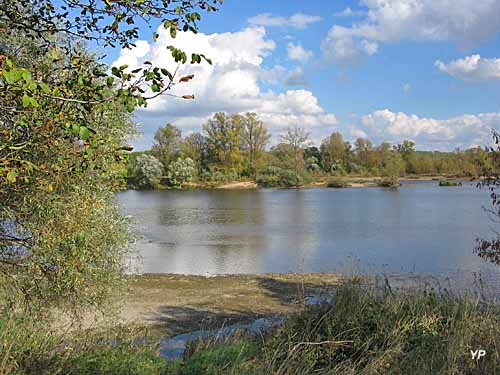 Réserve naturelle du Val de Loire