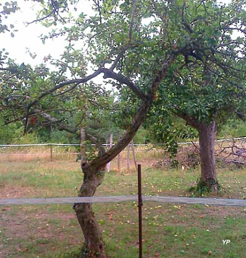 Ch&acirc;teau et parc de Plessis Saint-Jean