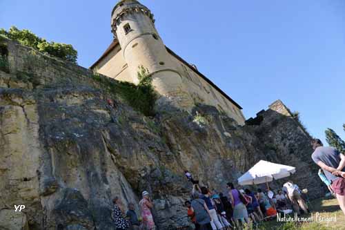 Ch&acirc;teau d'Excideuil