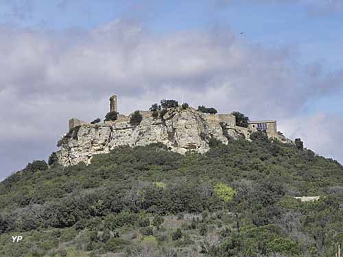 Château de Gicon