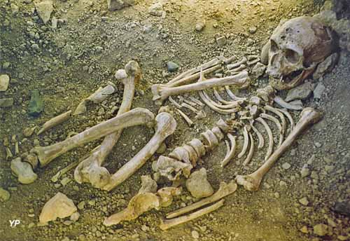 Reconstitution squelette-sépulture homme de la Chapelle aux Saints