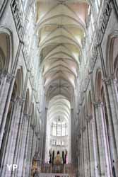 Amiens, cathédrale Notre-Dame - la nef