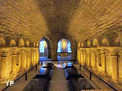 basilique cathédrale Saint-Denis - caveau des Bourbons