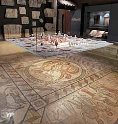 Musée départemental des antiquités - salle gallo-romaine (doc. V. Deslandes CG76)
