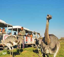 Réserve de Beaumarchais Autrèche