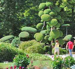 Parc Floral de la Source - jardin zen (Julie Danet)