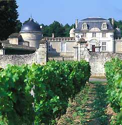 vignoble et château de Malle à Sauternes (doc. CRTA / JJ Brochard)
