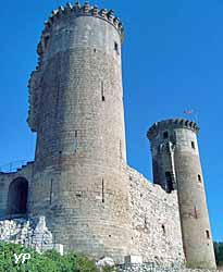 Château des comtes de Provence