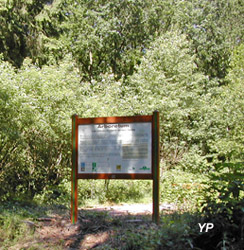 Arboretum de Saint-Avold (doc. Office National des Forêts)