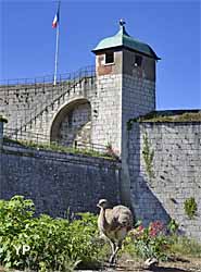 Fortifications de Vauban - nandou