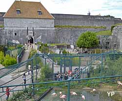 Fortifications de Vauban - le zoo