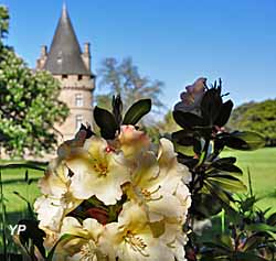 Parc de Bonnefontaine - Rhododendrons