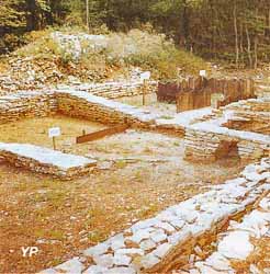 Site Gallo-Romain de l'Ecartelot (ACAHN)