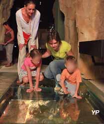 Mus&eacute;e de l'ours des cavernes