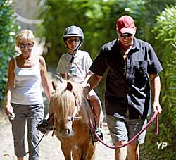 Haras national d'Hennebont - poney