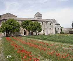 Monastère St Paul et champ van Gogh