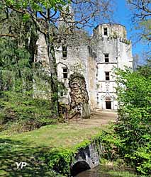 Château de l'Herm (Château de l'Herm)