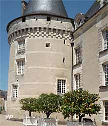 Château Musée, parc et jardins