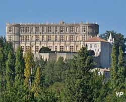 Château de Grignan (doc. Sarl Les Truffières)