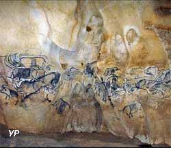 Grotte Chauvet 2 - La grande fresque de la salle du fond