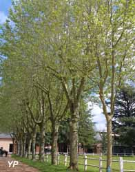 Haras National de Rodez - arboretum et ses arbres classés