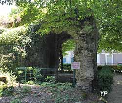 Jardin des Arènes - Amphithéatre