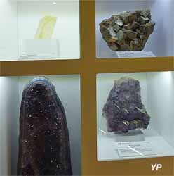 Cité du Volcan - Calcite, Pyrite et Fluorine (doc. Yalta Production)