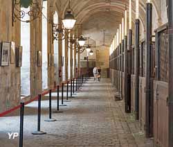 Academie équestre de Versailles 