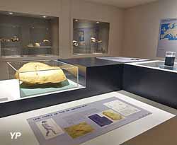 Musée de Paléontologie Humaine de Terra Amata (Ville de Nice)