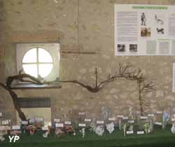 Ecomusée de la Vallée de l'Aigre - expo 2018 Le Jardin des Plantes