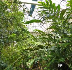 Jardin Botanique de Tours - serres biodivers plantes utilitaires