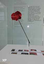 Musée Franco-Australien - Coquelicot, Fleur du Souvenir