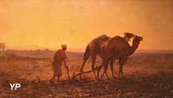 Labour au coucher du soleil (Gustave Guillaumet, collection privée)