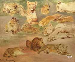 Étude de lions (Rosa Bonheur)