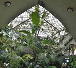 Jardin des Plantes - serre Equatoriale