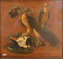 Étude de faucons (Pieter Boel)