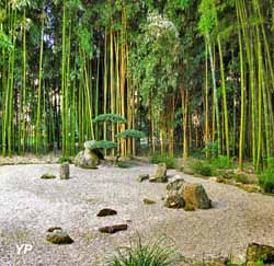 Jardin Les Bambous de Planbuisson