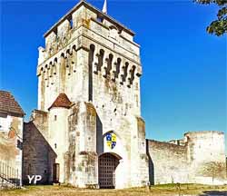Château-fort des Comtes d'Auxerre et de Nevers (doc. Les Amis du Château)