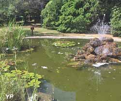 Jardin botanique des Myrtes - la Croisette (doc. Ville deSainte-Maxime)