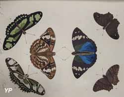 Fond Depuiset, BE de Verdun