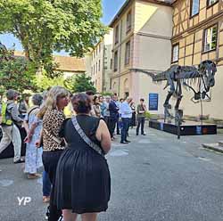 Inauguration Paleobotanica