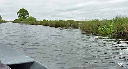 Marais de Brière