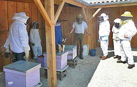 Maison des Abeilles - Parc naturel de la Brenne