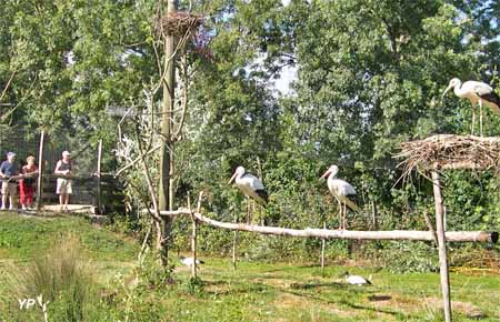 Volière des cigognes