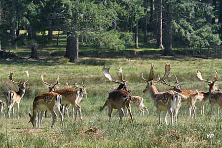 Parc animalier de Boutissaint