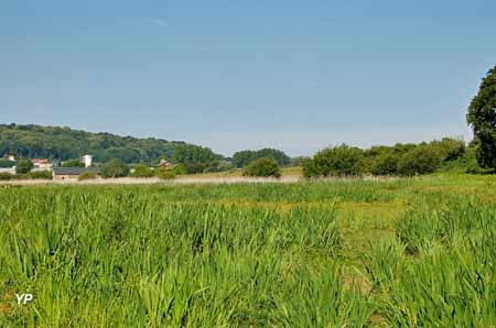 Domaine du Colmoulins