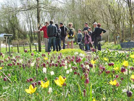 Jardin des Plantes Sauvages et Jardin des Plantes Médicinales