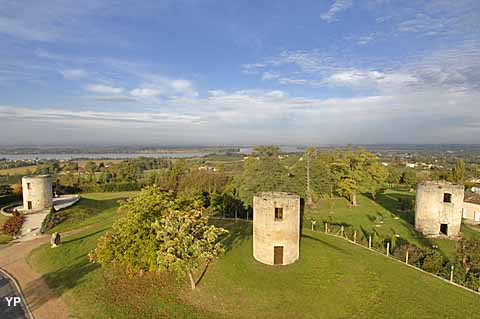 Moulins de Montalon - 45e parallèle